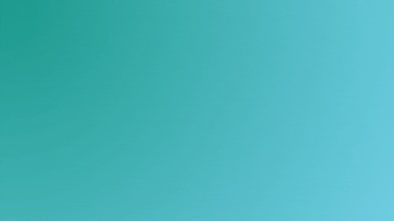 Animated Sliders Website 1