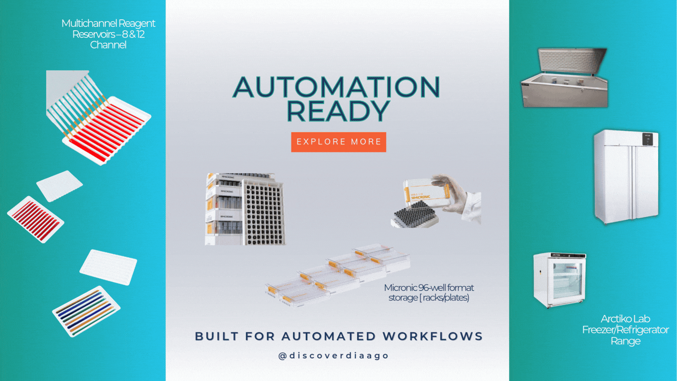 Animated Sliders Website 20