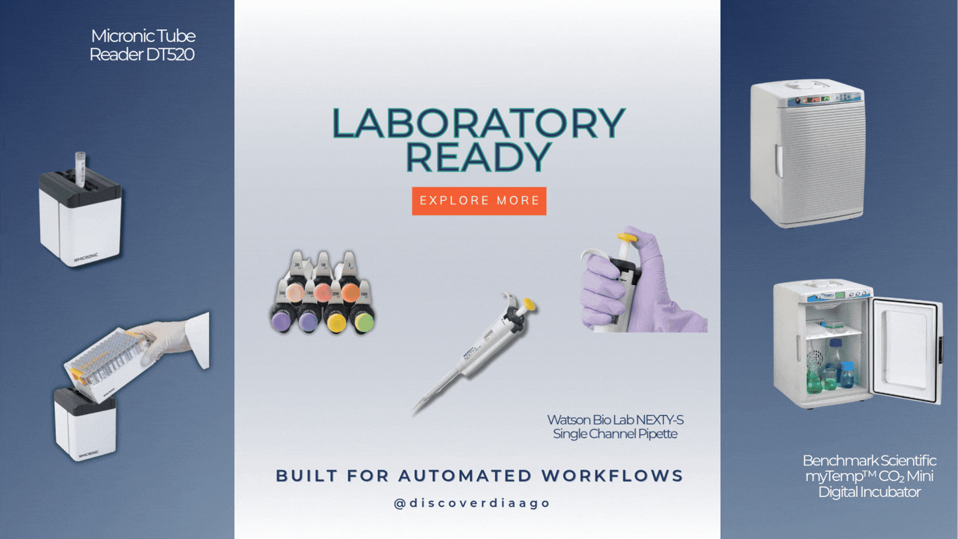 Animated Sliders Website 22