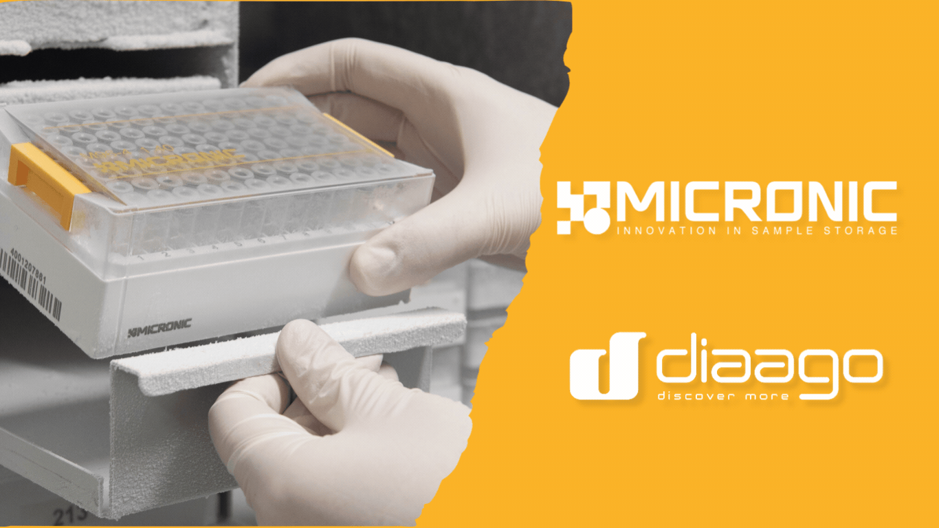 Animated Sliders Website 23