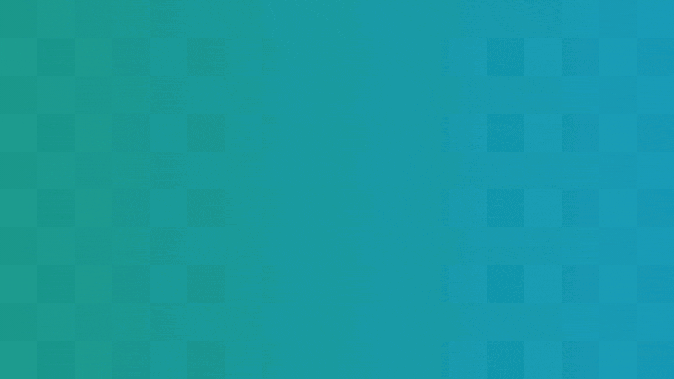 Animated Sliders Website 33