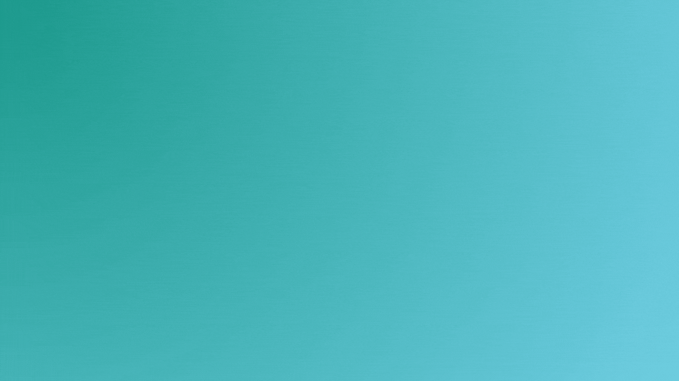 Animated Sliders Website 5